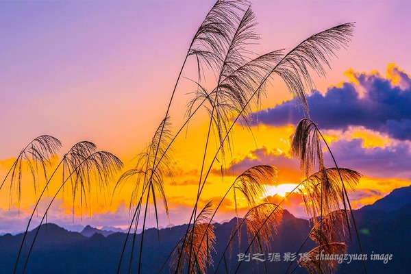 文章附图