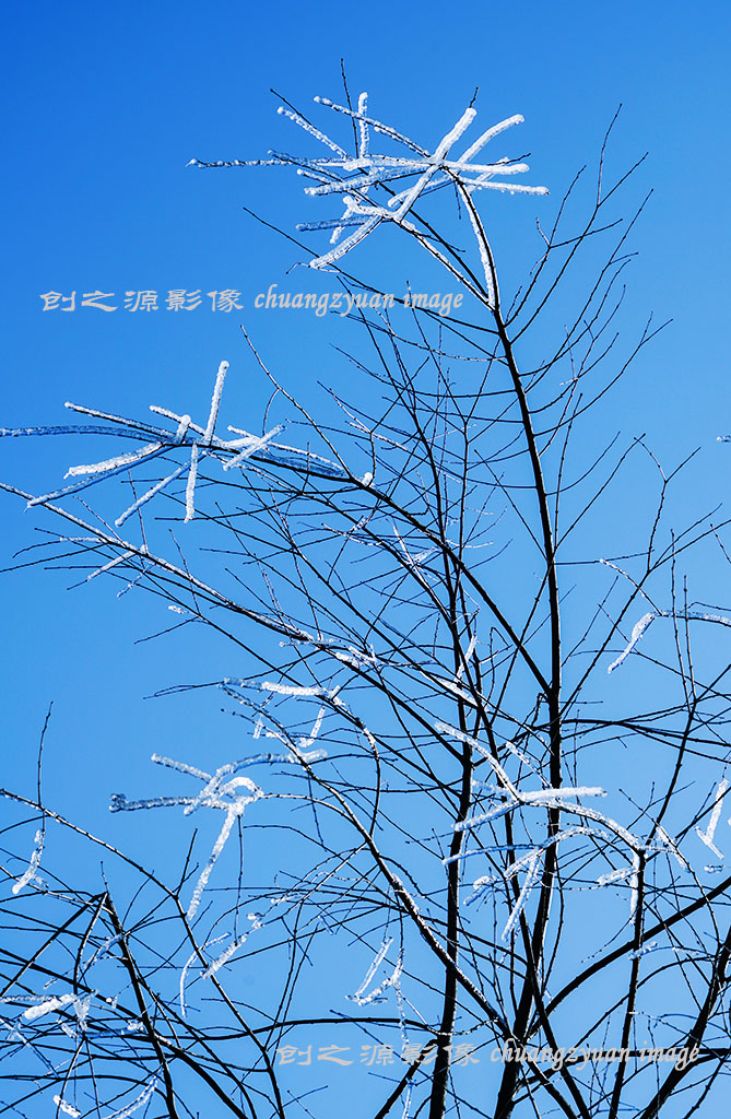 DSC01721-1-1024.jpg